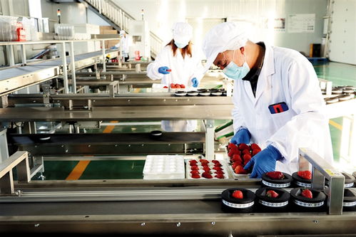 鄂爾多斯 建設農(nóng)副產(chǎn)品電商服務中心，賦能養(yǎng)生保健服務新生態(tài)